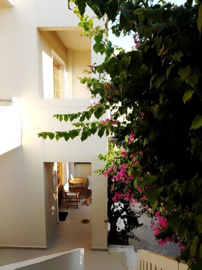 Irini Apartments Platanias  Bagian luar foto