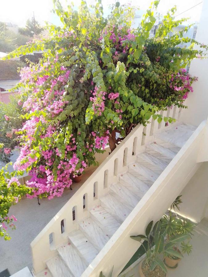 Irini Apartments Platanias  Bagian luar foto